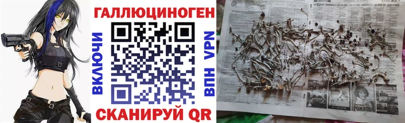 Псилоцибиновые грибы Psilocybine cubensis  кракен вход  Учалы 